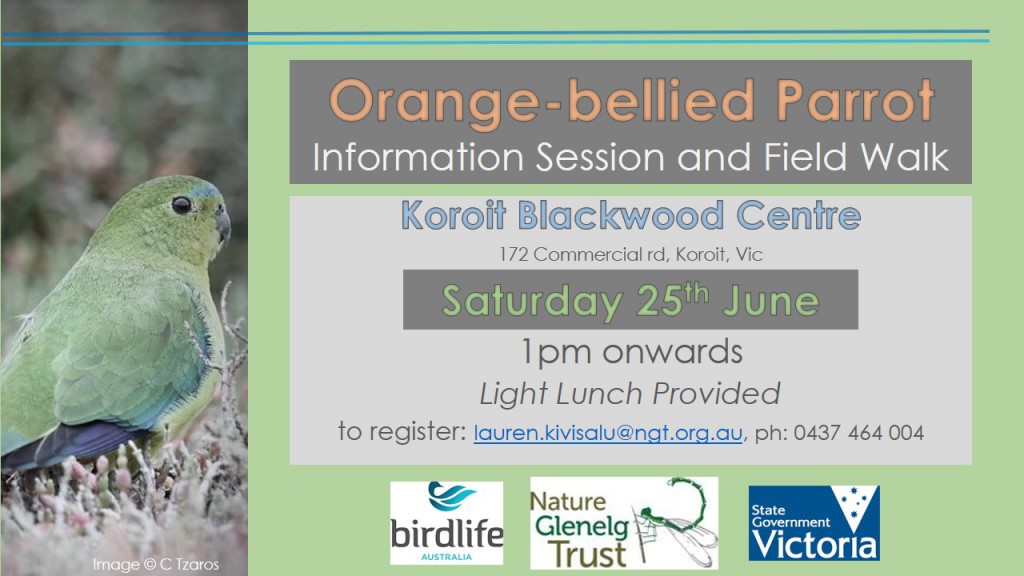 Orange-bellied Parrot NGT information session flyer koroit 25th june
