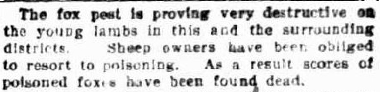 Strathdownie correspondents report - 23rd June 1906