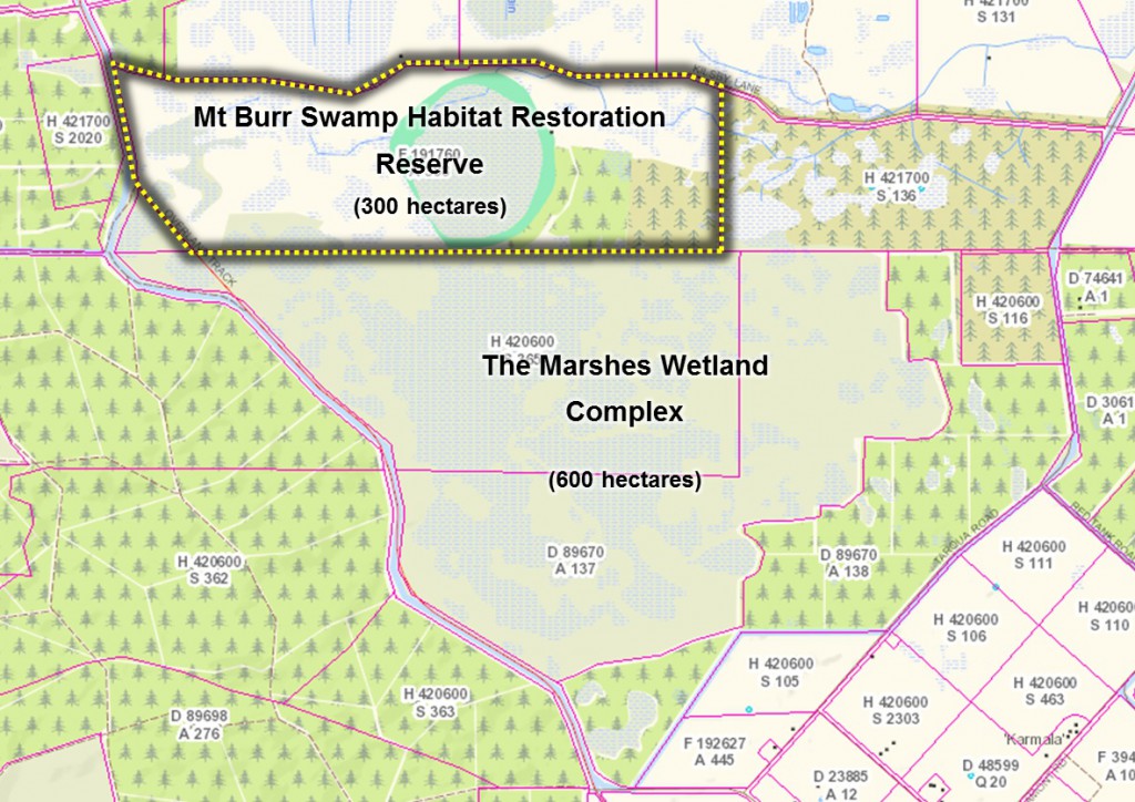 Map of Mt Burr Swamp