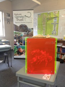NGT's etched Burrowing Cray Education Toolbox, created by a regional artist