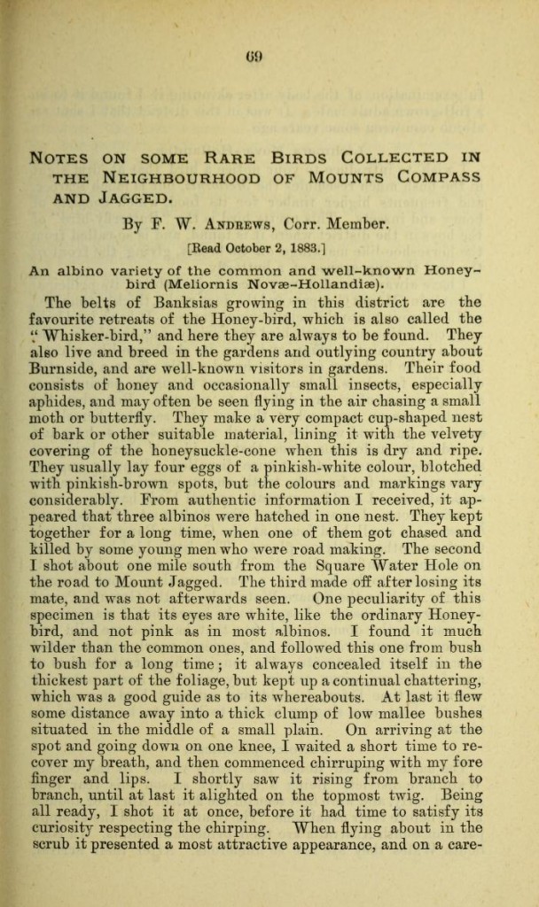 Page 1 of an article by F. W. Andrews in the Transactions of the Royal Society of South Australia (1883)