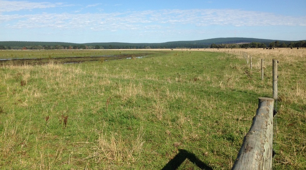 The newly-erected electric fence at Mt Burr Swamp, enclosing the previously open western side of the wetland and excluding stock for the first time in over 60 years. 
