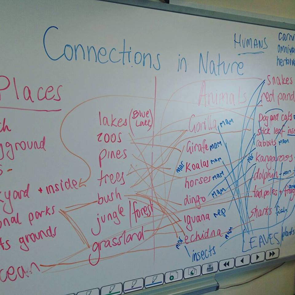 The whiteboard quickly became a tangle of messy connections!