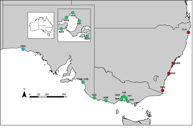 Map of sampling locations for genetic analyses, colour coded to represent the three distinct subpopulations: western South Australia (blue), South East South Australia- Victoria (green) and New South Wales (red).