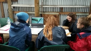 Using taxonomic key sheets and microscopes set up in the Mt Burr wool shed, the student’s identified 11 different groups of aquatic invertebrates and filled out some worksheets learning about land use, vegetation types and how the waterbugs found can give them an idea of water quality.