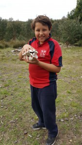 Student with wombat skull
