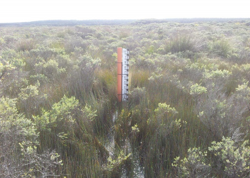 The Nobles Rocks outflow gauge board - 19th May 2015, as wetland levels were rising in response to the Phase 3 structure.