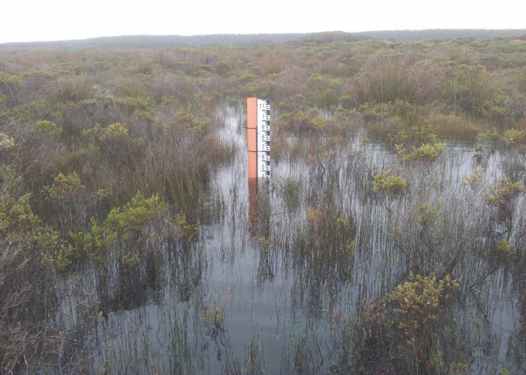 The Nobles Rocks outflow gauge board - 2nd September 2015, with the full inundation impact of the Phase 3 structure evident.