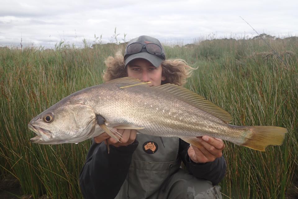 Kobi Rothall is one of our dedicated mulloway taggers. Here he is with a 62 cm fish tagged from the Glenelg River back in December. 
