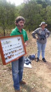 Bryan and his collection of butterflies from the local area