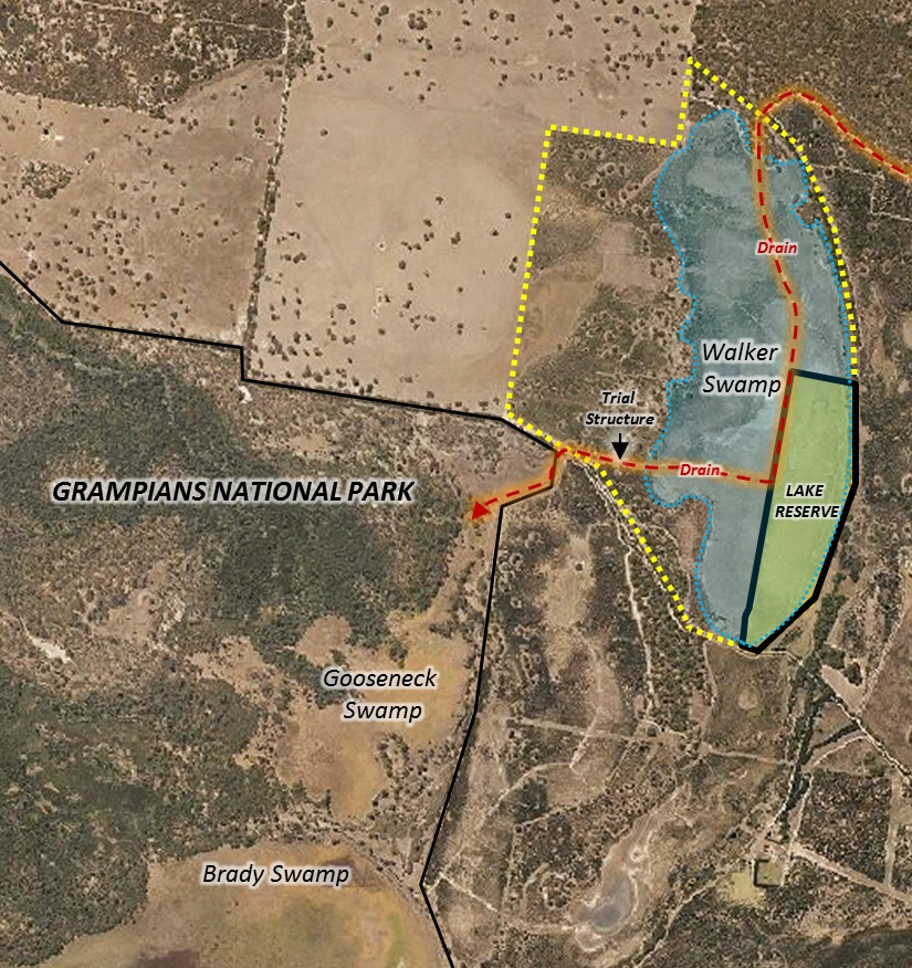 Walker Swamp Restoration Reserve: showing the future restored extent of Walker Swamp (blue shading) the NGT property (dashed yellow outline), Parks Victoria Lake Reserve, and existing artificial drain through the wetland (dashed red line).