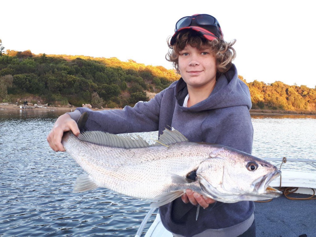 Luke Gercovich is one of the dedicated anglers involved in our tagging project. Luke recently tagged this 81 cm Mulloway from the Hopkins River. 