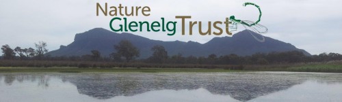 NGT logo with wetland