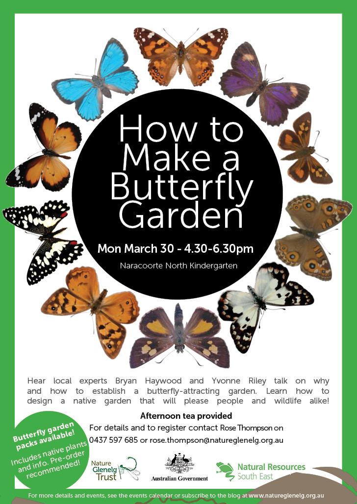 How to make a butterfly garden workshop - round two ...