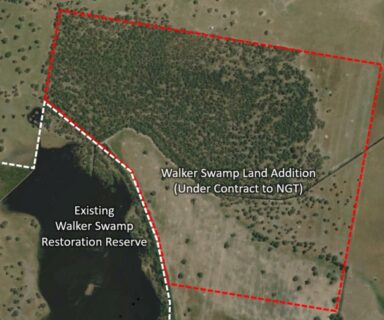Target area to expand the Walker Swamp Restoration Reserve by 390 acres in 2023.